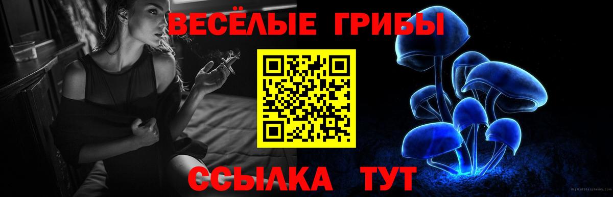 купить  цена  Псилоцибиновые грибы мухоморы  Псилоцибиновые грибы мухоморы  Вход с VPN  Бирск 